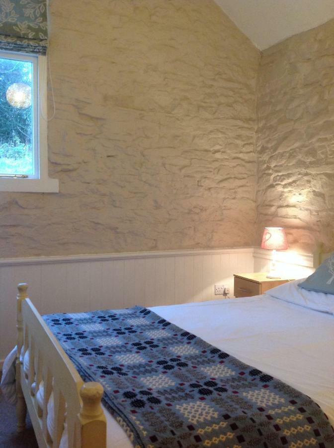 Cwmtwrch Cottage Carmarthen Exteriér fotografie